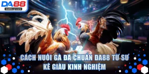 Cách Nuôi Gà Đá