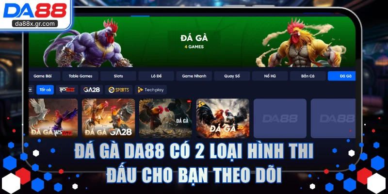 Đá gà DA88 có 2 loại hình thi đấu cho bạn theo dõi