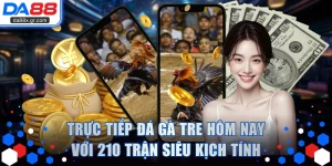 Trực Tiếp Đá Gà Tre