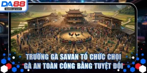 Trường Gà SAVAN Tổ Chức Chọi Gà An Toàn Công Bằng Tuyệt Đối